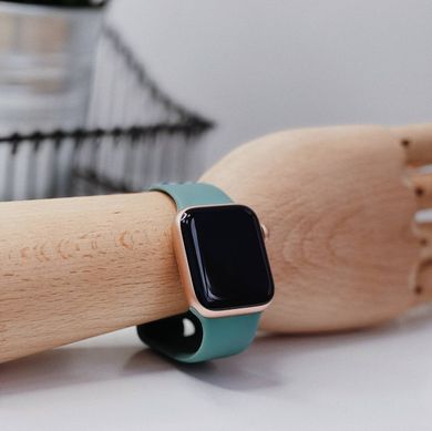 Ремінець Silicone Sport Band для Apple Watch 42mm | 44mm | 45mm | 49mm Cosmos blue розмір L купити