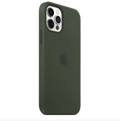 Чохол Silicone Case Full OEM для iPhone 12 | 12 PRO Cyprus Green - ash-mobile.com.ua - фото 2