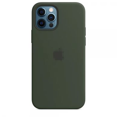 Чохол Silicone Case Full OEM для iPhone 12 | 12 PRO Cyprus Green - ash-mobile.com.ua - фото 1