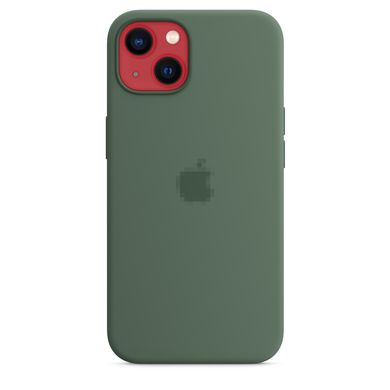 Чохол Silicone Case Full OEM+MagSafe для iPhone 13 Eucalyptus