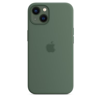 Чохол Silicone Case Full OEM+MagSafe для iPhone 13 Eucalyptus