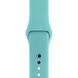 Ремінець Silicone Sport Band для Apple Watch 42mm | 44mm | 45mm | 49mm Sea Blue розмір S