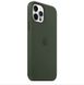 Чохол Silicone Case Full OEM для iPhone 12 | 12 PRO Cyprus Green