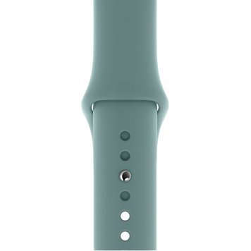 Ремінець Silicone Sport Band для Apple Watch 38mm | 40mm | 41mm Cactus розмір S - ash-mobile.com.ua - фото 1