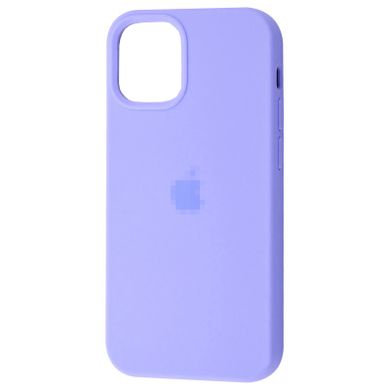 Чехол Silicone Case Full для iPhone 16 Glycine - ash-mobile.com.ua - фото 1