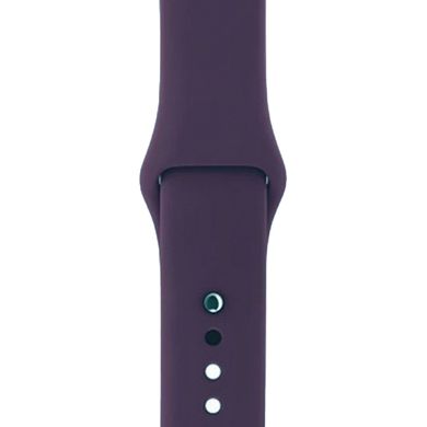 Ремешок Silicone Sport Band для Apple Watch 38mm | 40mm | 41mm Elderberry розмір L купить