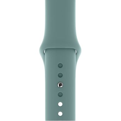 Ремінець Silicone Sport Band для Apple Watch 38mm | 40mm | 41mm Cactus розмір S купити