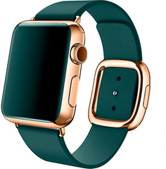 Ремешок Modern Buckle Leather для Apple Watch 42/44/45/49 mm Forest Green/Gold купить
