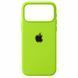 Чохол Silicone Case Full для iPhone 17 PRO MAX Party Green