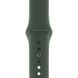Ремінець Silicone Sport Band для Apple Watch 42mm | 44mm | 45mm | 49mm Dark Green розмір S купити