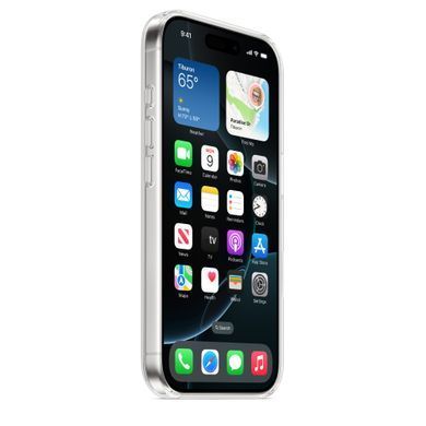 Чохол прозорий Print Flower with MagSafe для iPhone 17 PRO Spring Breeze