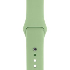 Ремінець Silicone Sport Band для Apple Watch 42mm | 44mm | 45mm | 49mm Mint Gum розмір S купити