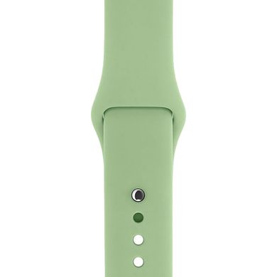 Ремінець Silicone Sport Band для Apple Watch 42mm | 44mm | 45mm | 49mm Mint Gum розмір S купити
