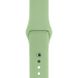 Ремінець Silicone Sport Band для Apple Watch 42mm | 44mm | 45mm | 49mm Mint Gum розмір S