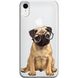 Чохол прозорий Print Dogs для iPhone XR Glasses Pug купити