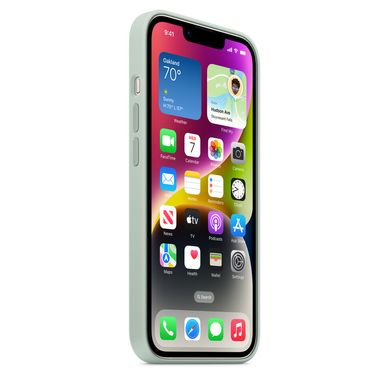 Чохол Silicone Case Full OEM для iPhone 14 Plus Succulent - ash-mobile.com.ua - фото 7