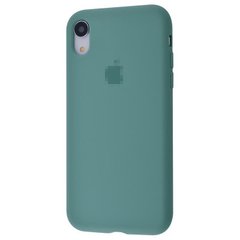 Чохол Silicone Case Full для iPhone XR Pine Green купити