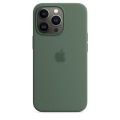 Чехол Silicone Case Full OEM+MagSafe для iPhone 13 PRO Eucalyptus