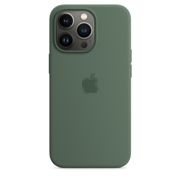 Чохол Silicone Case Full OEM+MagSafe для iPhone 13 PRO Eucalyptus - ash-mobile.com.ua - фото 1