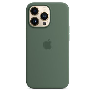 Чохол Silicone Case Full OEM+MagSafe для iPhone 13 PRO Eucalyptus