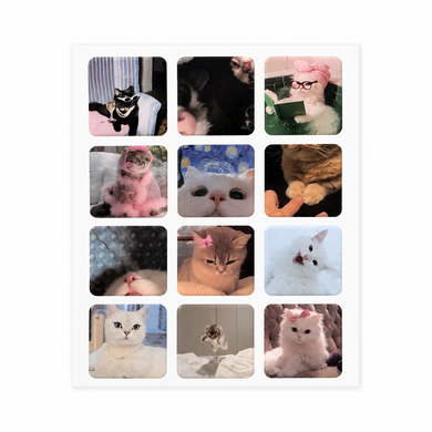 3D стікери Chill cat - ash-mobile.com.ua - фото 2