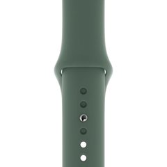 Ремешок Silicone Sport Band для Apple Watch 42mm | 44mm | 45mm | 49mm Pine Green размер S купить