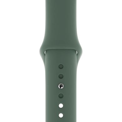 Ремінець Silicone Sport Band для Apple Watch 42mm | 44mm | 45mm | 49mm Pine Green розмір S купити