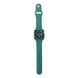 Ремінець Silicone Full Band для Apple Watch 40 mm Pine Green