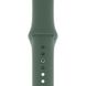 Ремінець Silicone Sport Band для Apple Watch 42mm | 44mm | 45mm | 49mm Pine Green розмір L