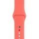 Ремешок Silicone Sport Band для Apple Watch 38mm | 40mm | 41mm Pink Citrus розмір S