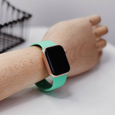 Ремінець Silicone Sport Band для Apple Watch 42mm | 44mm | 45mm | 49mm Marine Green розмір S купити