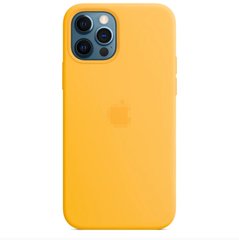 Чохол Silicone Case Full OEM+MagSafe для iPhone 12 | 12 PRO Sunflower купити
