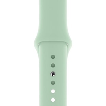 Ремінець Silicone Sport Band для Apple Watch 38mm | 40mm | 41mm Beryl розмір S - ash-mobile.com.ua - фото 1