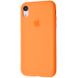 Чехол Silicone Case Full для iPhone XR Vitamin C купить