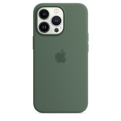 Чохол Silicone Case Full OEM+MagSafe для iPhone 13 PRO MAX Eucalyptus - ash-mobile.com.ua - фото 4