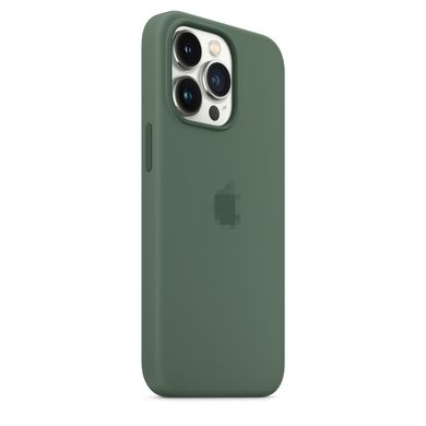 Чохол Silicone Case Full OEM+MagSafe для iPhone 13 PRO MAX Eucalyptus - ash-mobile.com.ua - фото 6