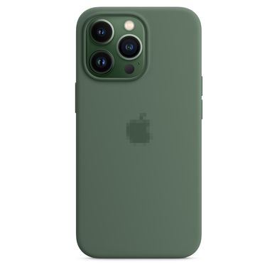 Чохол Silicone Case Full OEM+MagSafe для iPhone 13 PRO MAX Eucalyptus - ash-mobile.com.ua - фото 5