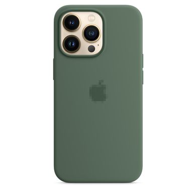 Чохол Silicone Case Full OEM+MagSafe для iPhone 13 PRO MAX Eucalyptus - ash-mobile.com.ua - фото 2