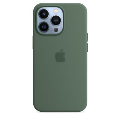 Чохол Silicone Case Full OEM+MagSafe для iPhone 13 PRO MAX Eucalyptus - ash-mobile.com.ua - фото 3