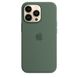 Чохол Silicone Case Full OEM+MagSafe для iPhone 13 PRO MAX Eucalyptus