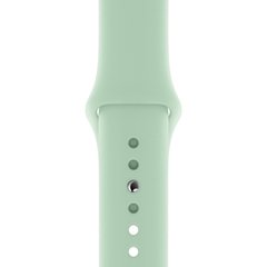 Ремешок Silicone Sport Band для Apple Watch 42mm | 44mm | 45mm | 49mm Beryl размер S купить