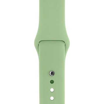 Ремешок Silicone Sport Band для Apple Watch 38mm | 40mm | 41mm Mint Gum размер S - ash-mobile.com.ua - фото 1