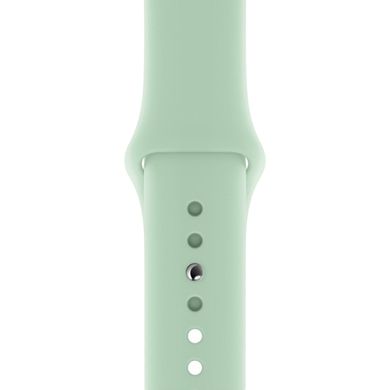 Ремінець Silicone Sport Band для Apple Watch 42mm | 44mm | 45mm | 49mm Beryl розмір S купити