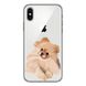 Чохол прозорий Print Dogs для iPhone X | XS Dog Spitz Light-Brown купити