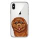 Чохол прозорий Print Dogs для iPhone X | XS Funny Dog Brown купити