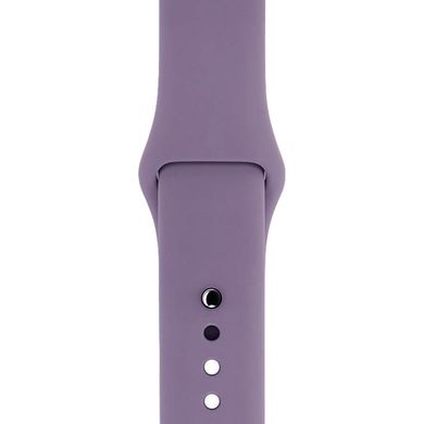 Ремінець Silicone Sport Band для Apple Watch 42mm | 44mm | 45mm | 49mm Blueberry розмір S купити