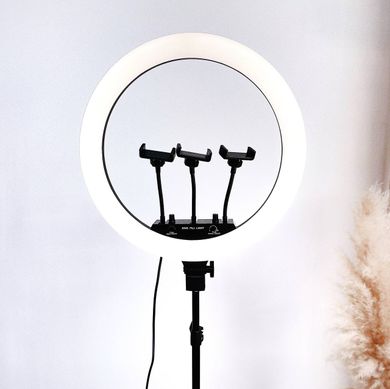 Кольцевая светодиодная Led Лампа (MJ18) Радуга (45 см) + тренога купить