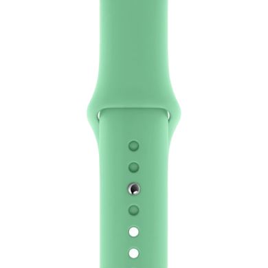 Ремінець Silicone Sport Band для Apple Watch 42mm | 44mm | 45mm | 49mm Spearmint розмір S купити