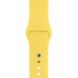 Ремінець Silicone Sport Band для Apple Watch 42mm | 44mm | 45mm | 49mm Canary Yellow розмір S