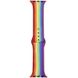 Ремінець Braided Rainbow для Apple Watch 42/44/45/49 mm Red/Purple